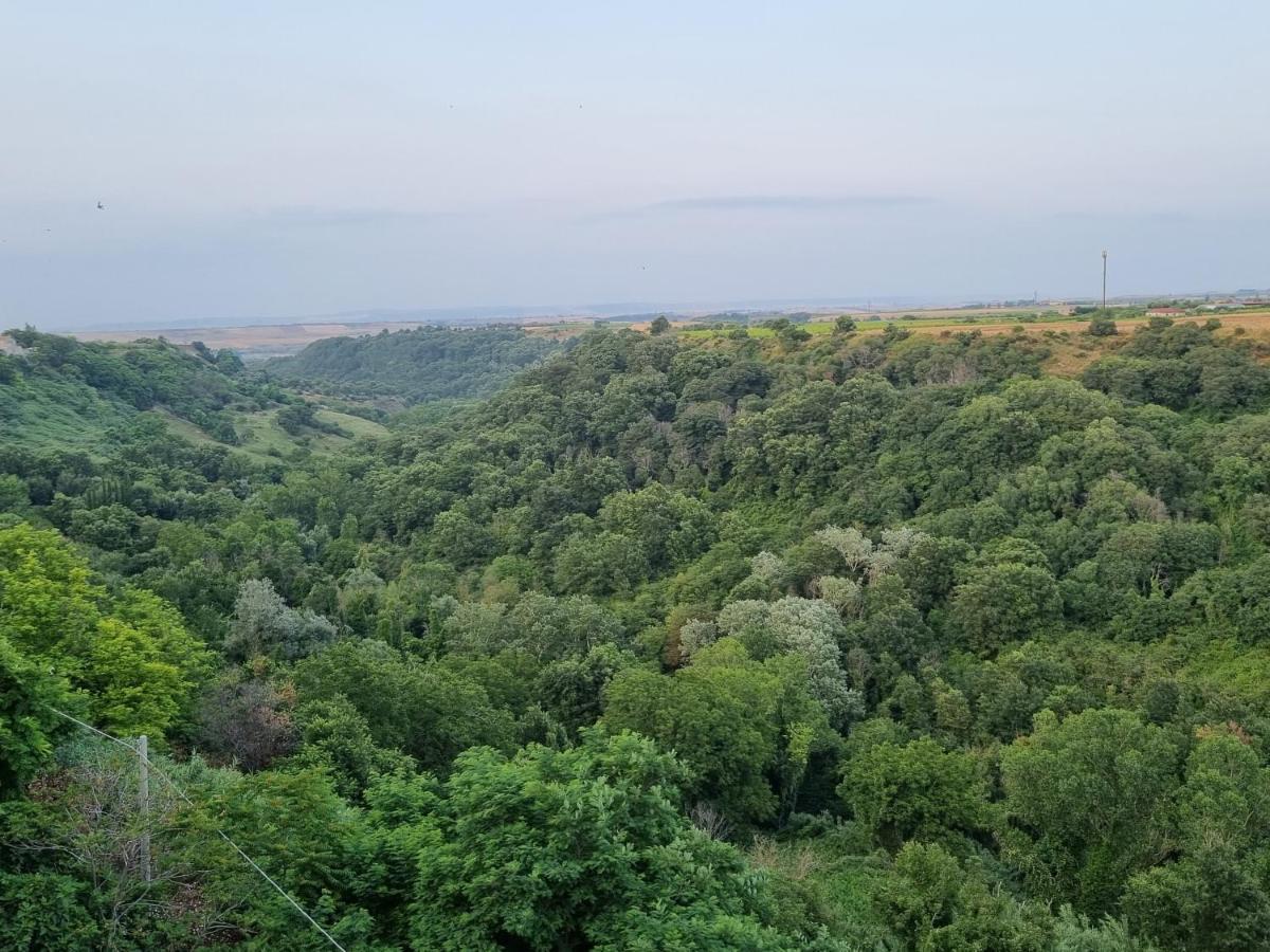 Suite D'Avalos Веноса Екстериор снимка